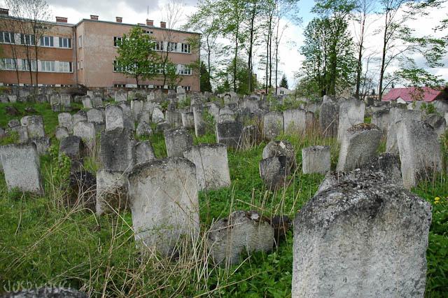 Cmentarz żydowski w Lubaczowie