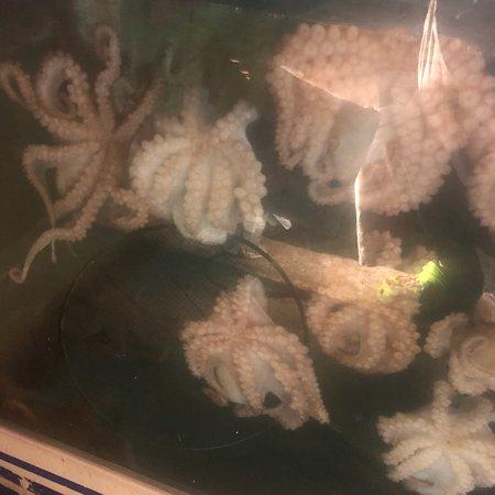 Hwangro Al Black Pig Speciality