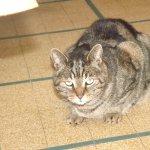 Chez Christophe Piat