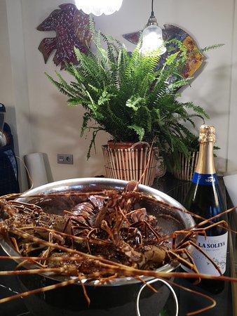 El Gallo de San Pedro