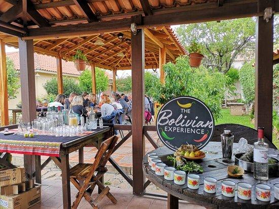 The Bolivian Experience