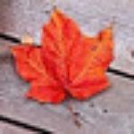 Nexus Restaurant & Lounge