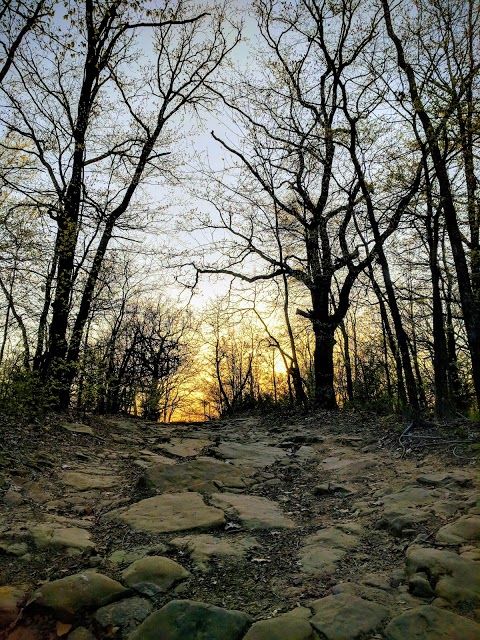 Turkey Mountain Park