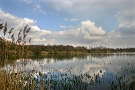 Natuurgebied Platwijer