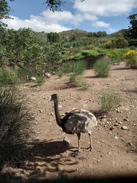 Reserva Natural Sierra del Tigre