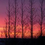 Desta Ethiopian Restaurant