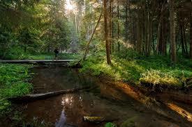 Cirulisi Nature Trails