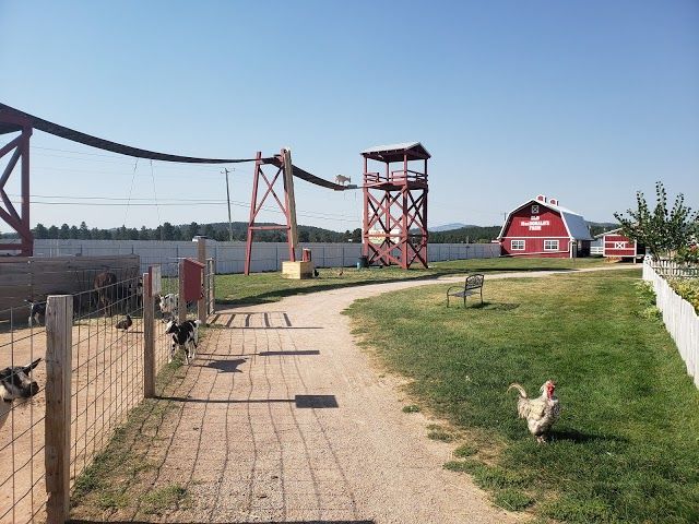 Old MacDonald's Farm