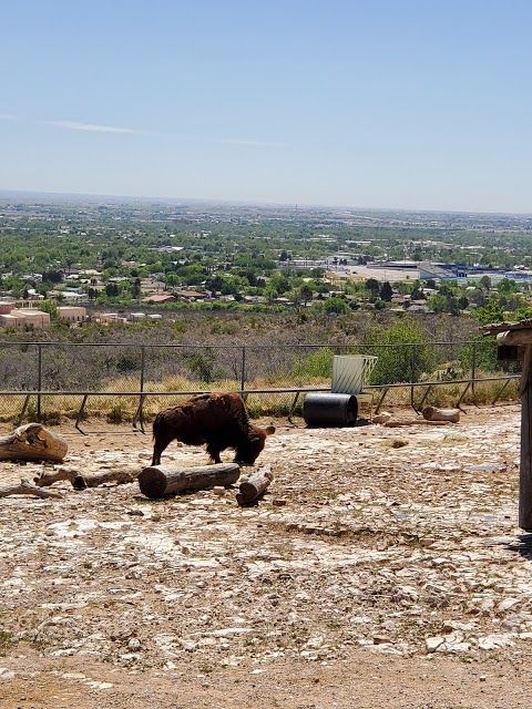 Living Desert State Park