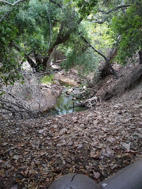 Sycamore Canyon Park