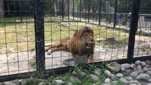 Bowmanville Zoo