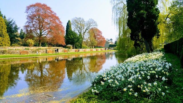 Coombe Abbey Country Park