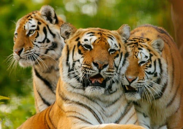 Paradise Wildlife Park
