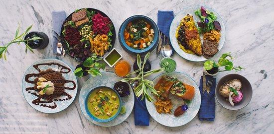 TERRA - Food That Loves You Back