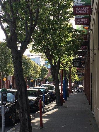 Shanzees Biscuit Cafe