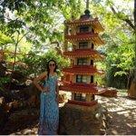 Pastelaria Pizzaria Empadao Sanduiches Central