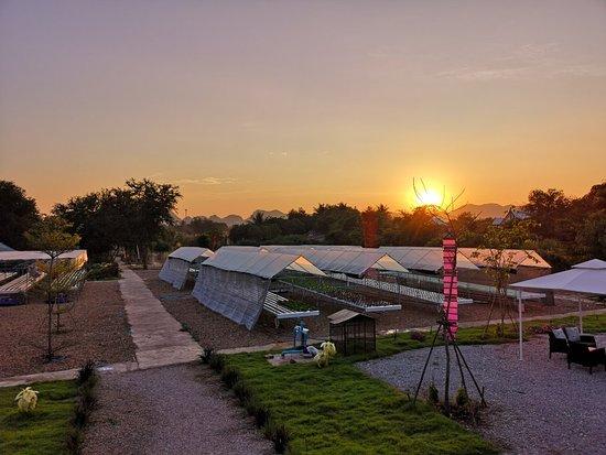 All About Me At Woodtichai Farm