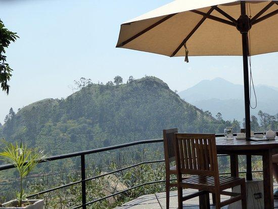 98 Acres Cafe & Restaurant