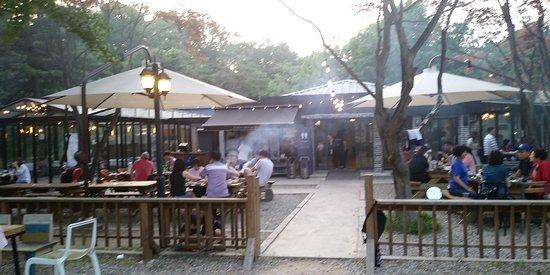 Forest Grill by Felix