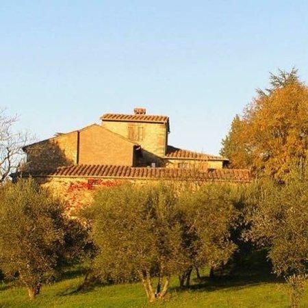Ristorante dell'Agriturismo Podere la Paolina