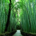 Pasticceria Barbarossa