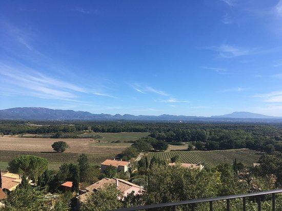 Au petit cedre gourmand