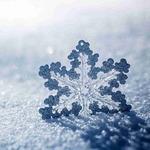 Panificio Panetteria Marco E Elena