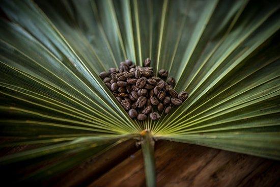 Brew Tulum Specialty Coffee Shop