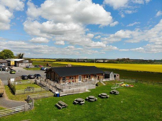 The Tea Room on the Wall