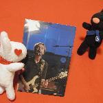 Shrimp Specialties Lizarran