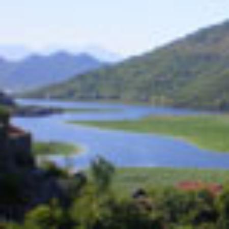 Fattoria Il Laghetto