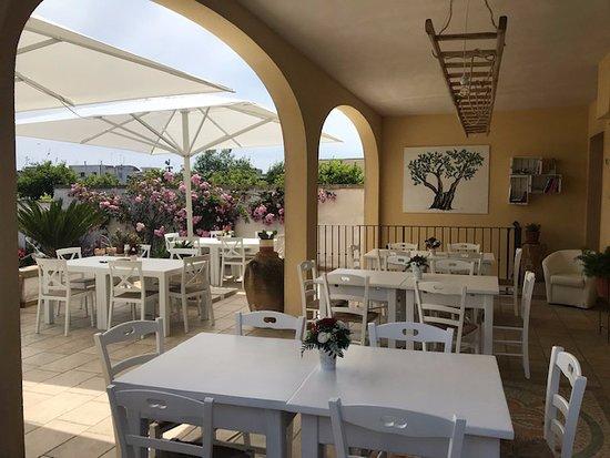 La Corte degli Ulivi