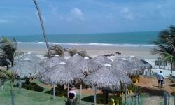 Sorveteria Glacial Curumins Park