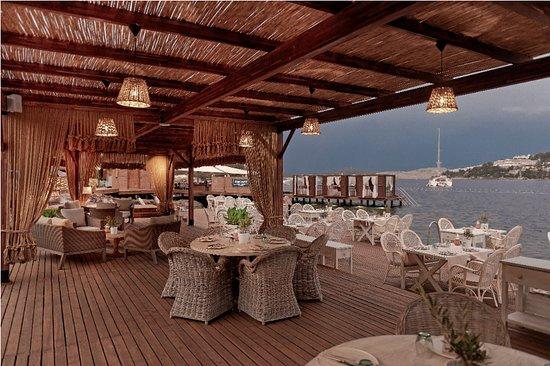 Escape Beach & Lounge