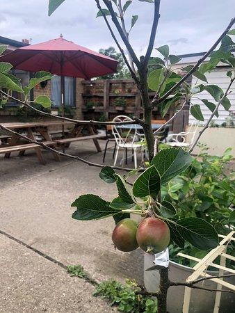 Grain & Hearth Bakery