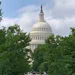 Shake N Dog Grub Shack