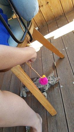 Miao Bites and Spirits