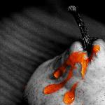 Fussener Kaffeerosterei