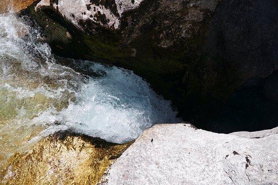 Restaurant & Bungalows