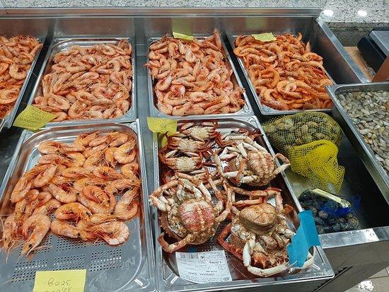 Marisqueira Concha Real