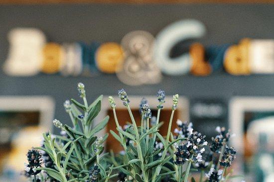 Bohne & Clyde Cafe