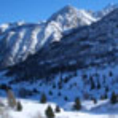 Alpenhotel Widderstein