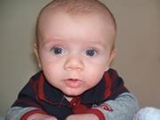 Flavors Of Italy Bistro