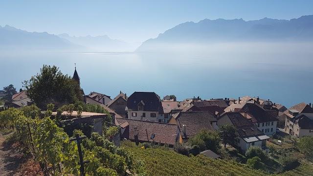 Lavaux Vinorama