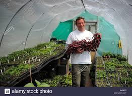 South Devon Chilli Farm