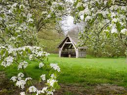 The Yorkshire Arboretum
