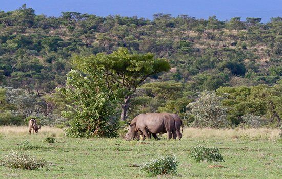 Welgevonden Nature Reserve