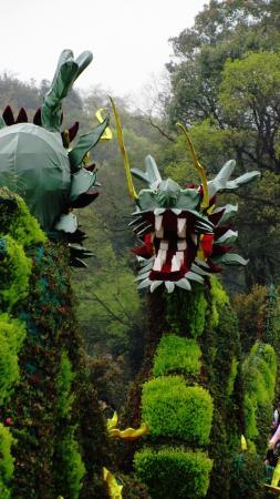 Hunan Forestry Botanical Garden