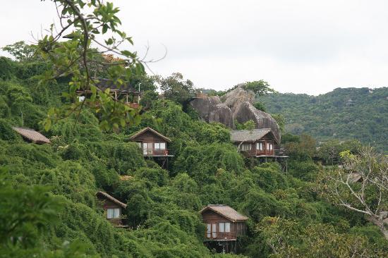 Sanya Tropical Paradise