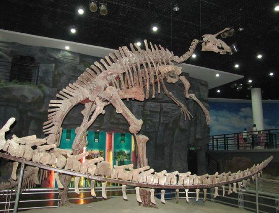 Changchun Geological Palace Museum